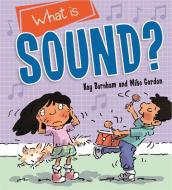 Discovering Science: What is Sound? di Kay Barnham edito da Hachette Children's Group