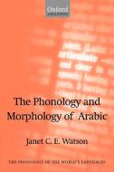 The Phonology and Morphology of Arabic di Janet C. E. Watson edito da OUP Oxford