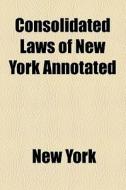 Mckinney's Consolidated Laws Of New York Annotated (1917) di New York, New York edito da General Books Llc