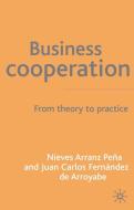 Business Cooperation di N. Pe¿a edito da Palgrave Macmillan