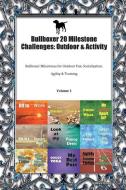 Bullboxer 20 Milestone Challenges: Outdoor & Activity Bullboxer Milestones for Outdoor Fun, Socialization, Agility & Tra di Todays Doggy edito da LIGHTNING SOURCE INC