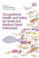 Occupational Health and Safety for Small and Medium Sized Enterprises edito da Edward Elgar Publishing