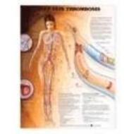 Deep Vein Thrombosis Anatomical Chart di Anatomical Chart Company edito da Anatomical Chart Co.