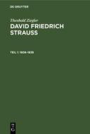 1808 - 1839: Mit Einem Jugendbild Von Strau , Aus: David Friedrich Strauss, T. 1 di Theobald Ziegler edito da Walter de Gruyter