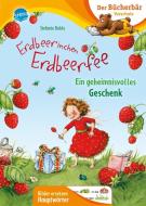 Erdbeerinchen Erdbeerfee. Ein geheimnisvolles Geschenk di Stefanie Dahle edito da Arena Verlag GmbH