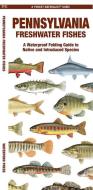 Pennsylvania Freshwater Fishes di Waterford Press edito da WATERFORD PR
