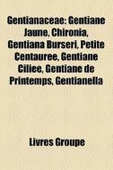 Gentianaceae: Gentiane Jaune, Chironia, di Livres Groupe edito da Books LLC, Wiki Series