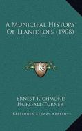 A Municipal History of Llanidloes (1908) di Ernest Richmond Horsfall-Turner edito da Kessinger Publishing