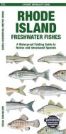 Rhode Island Freshwater Fishes: A Waterproof Folding Guide to Native and Introduced Species di Waterford Press edito da WATERFORD PR