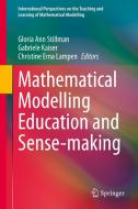 Mathematical Modelling Education and Sense-making edito da Springer International Publishing