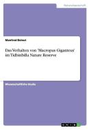 Das Verhalten von 'Macropus Giganteus' im Tidbinbilla Nature Reserve di Manfred Beleut edito da GRIN Verlag