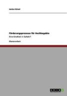 Förderungsprozesse für Hochbegabte di Janina Scheel edito da GRIN Verlag