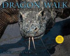 Dragon Walk di Robert Wintner edito da Skyhorse Publishing