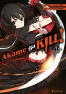 Akame ga KILL! 13 di Takahiro, Tetsuya Tashiro edito da Kazé Manga