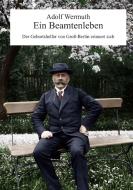 Ein Beamtenleben di Adolf Wermuth edito da Books on Demand