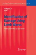 Identification of Damage Using Lamb Waves di Zhongqing Su, Lin Ye edito da Springer London