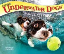 Underwater Dogs 2018 Day-to-day Calendar di Inc Browntrout Publishers edito da Brown Trout