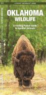Oklahoma Wildlife: A Folding Pocket Guide to Familiar Species di James Kavanagh, Waterford Press edito da WATERFORD PR