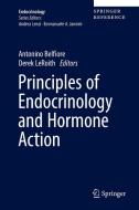 Principles of Endocrinology and Hormone Action edito da Springer-Verlag GmbH