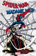 Spider-Man & Madame Web di Dennis O'Neil, John Romita Jr. edito da Panini Verlags GmbH