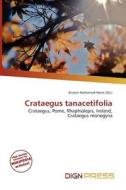Crataegus Tanacetifolia edito da Dign Press