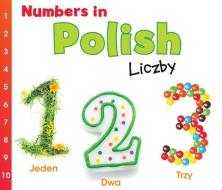 Numbers in Polish: Liczby di Daniel Nunn edito da HEINEMANN LIB