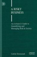 A Risky Business di Catrin Townsend edito da Springer International Publishing