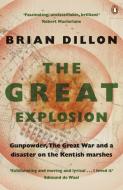 The Great Explosion di Brian Dillon edito da Penguin Books Ltd