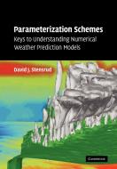Parameterization Schemes di David J. Stensrud edito da Cambridge University Press