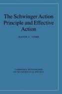 The Schwinger Action Principle and Effective Action di David J. Toms edito da Cambridge University Press