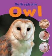 Learning About Life Cycles: The Life Cycle Of An Owl di Ruth Thomson edito da Hachette Children's Group