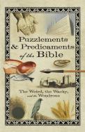 Puzzlements & Predicaments of the Bible: The Weird, the Wacky, and the Wondrous di Linda Washington, Betsy Todt Schmitt, Gene Smillie edito da HOWARD PUB CO INC