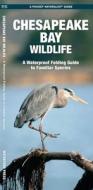 Chesapeake Bay Wildlife: A Folding Pocket Guide to Familiar Species di James Kavanagh, Waterford Press edito da Waterford Press