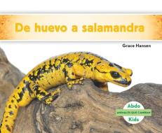 SPA-DE HUEVO A SALAMANDRA (BEC di Grace Hansen edito da ABDO KIDS