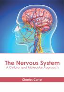 The Nervous System: A Cellular and Molecular Approach edito da HAYLE MEDICAL