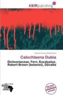 Calochlaena Dubia edito da Anim Publishing