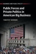 Public Forces and Private Politics in American Big Business di Timothy Werner edito da Cambridge University Press