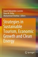 Strategies In Sustainable Tourism, Economic Growth And Clean Energy edito da Springer Nature Switzerland AG