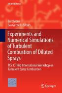 Experiments and Numerical Simulations of Turbulent Combustion of Diluted Sprays edito da Springer International Publishing