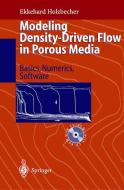 Modeling Density-Driven Flow in Porous Media di Ekkehard O. Holzbecher edito da Springer Berlin Heidelberg
