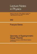 Geometry of Supersymmetric Gauge Theories di Francois Gieres edito da Springer Berlin Heidelberg