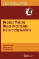 Decision Making Under Uncertainty in Electricity Markets di Miguel Carrión, Antonio J. Conejo, Juan M. Morales edito da Springer US