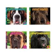 Big Dogs di Nikki Bruno Clapper, Allan Morey edito da CAPSTONE PR
