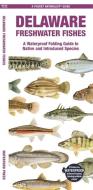Delaware Freshwater Fishes: A Waterproof Folding Guide to Native and Introduced Species di Waterford Press edito da WATERFORD PR