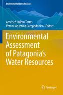 Environmental Assessment of Patagonia's Water Resources edito da Springer International Publishing
