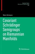 Covariant Schrödinger Semigroups on Riemannian Manifolds di Batu Güneysu edito da Springer International Publishing