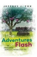 The Adventures Of FLASH di Jeffrey J Fox edito da Independently Published