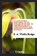 By-Paths of Bible Knowledge, VIII. The Dwellers on the Nile, or, Chapters on the Life Literature History and Customs of  di E. A. Wallis Budge edito da Trieste Publishing