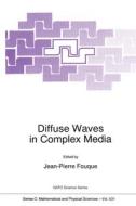 Diffuse Waves in Complex Media edito da Kluwer Academic Publishers