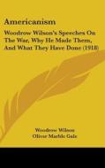 Americanism: Woodrow Wilson's Speeches on the War, Why He Made Them, and What They Have Done (1918) di Woodrow Wilson edito da Kessinger Publishing